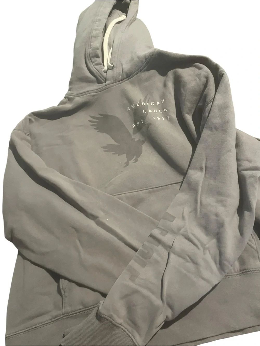 American Eagle Gray Eagle Logo Hoodie excellent size small